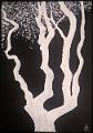 encre blanche_0010